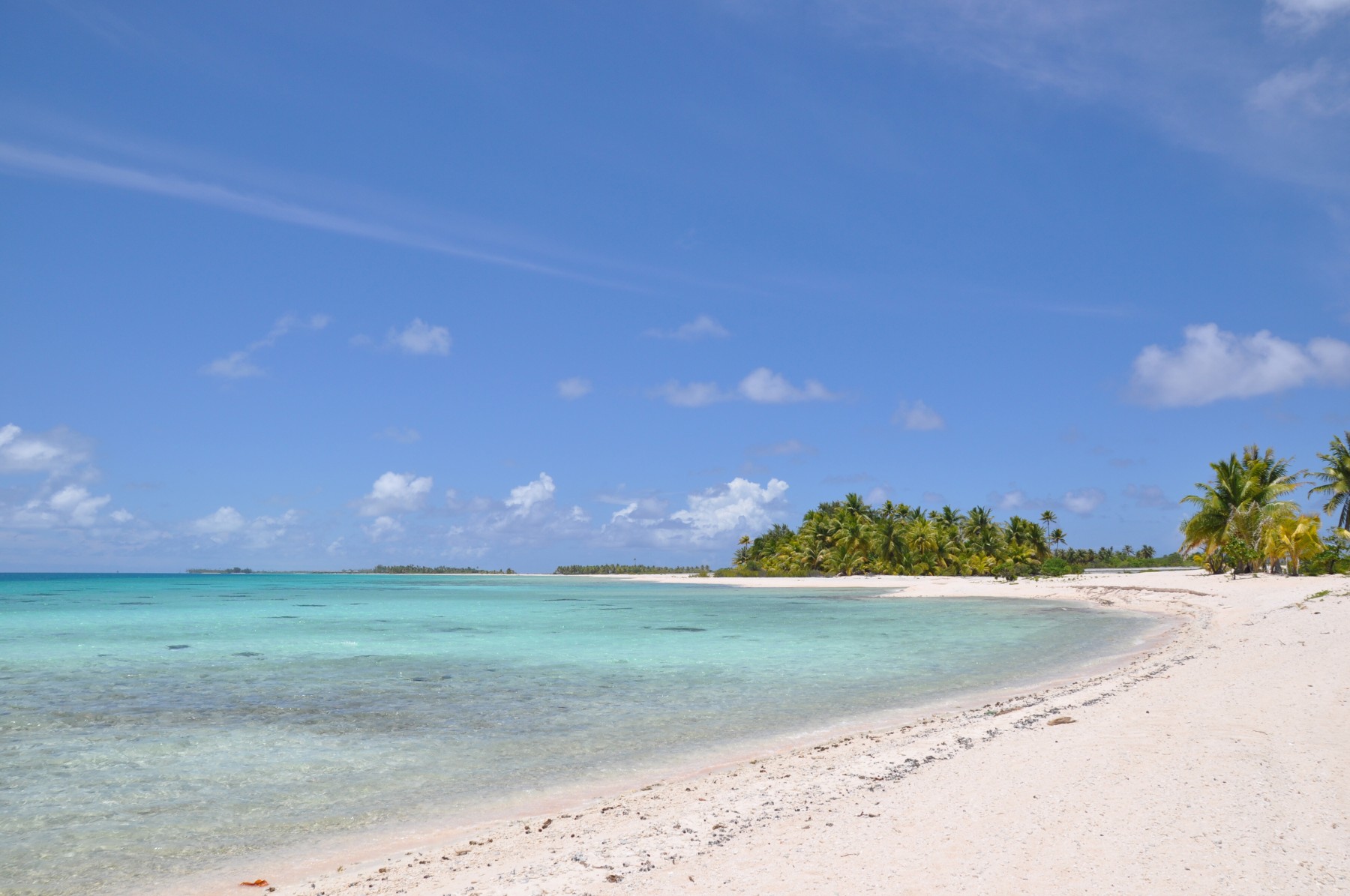 Pension Tikehau Paradise